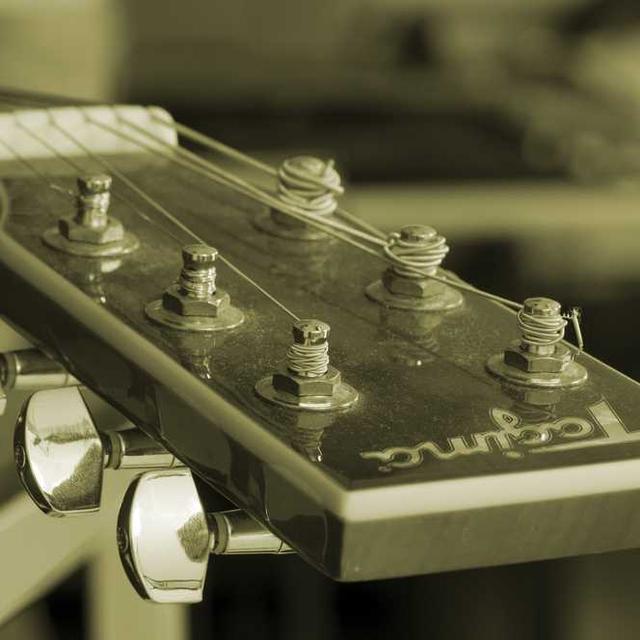 新产品Cat新产品Cat - 6